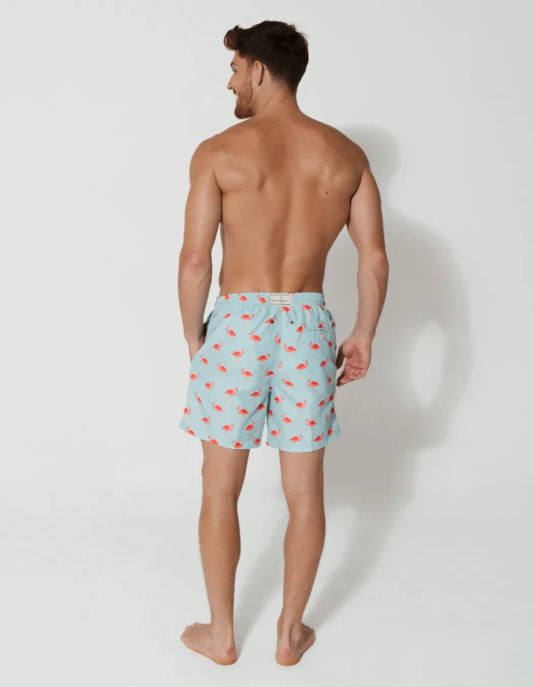 Flamingo Mens Swim Shorts