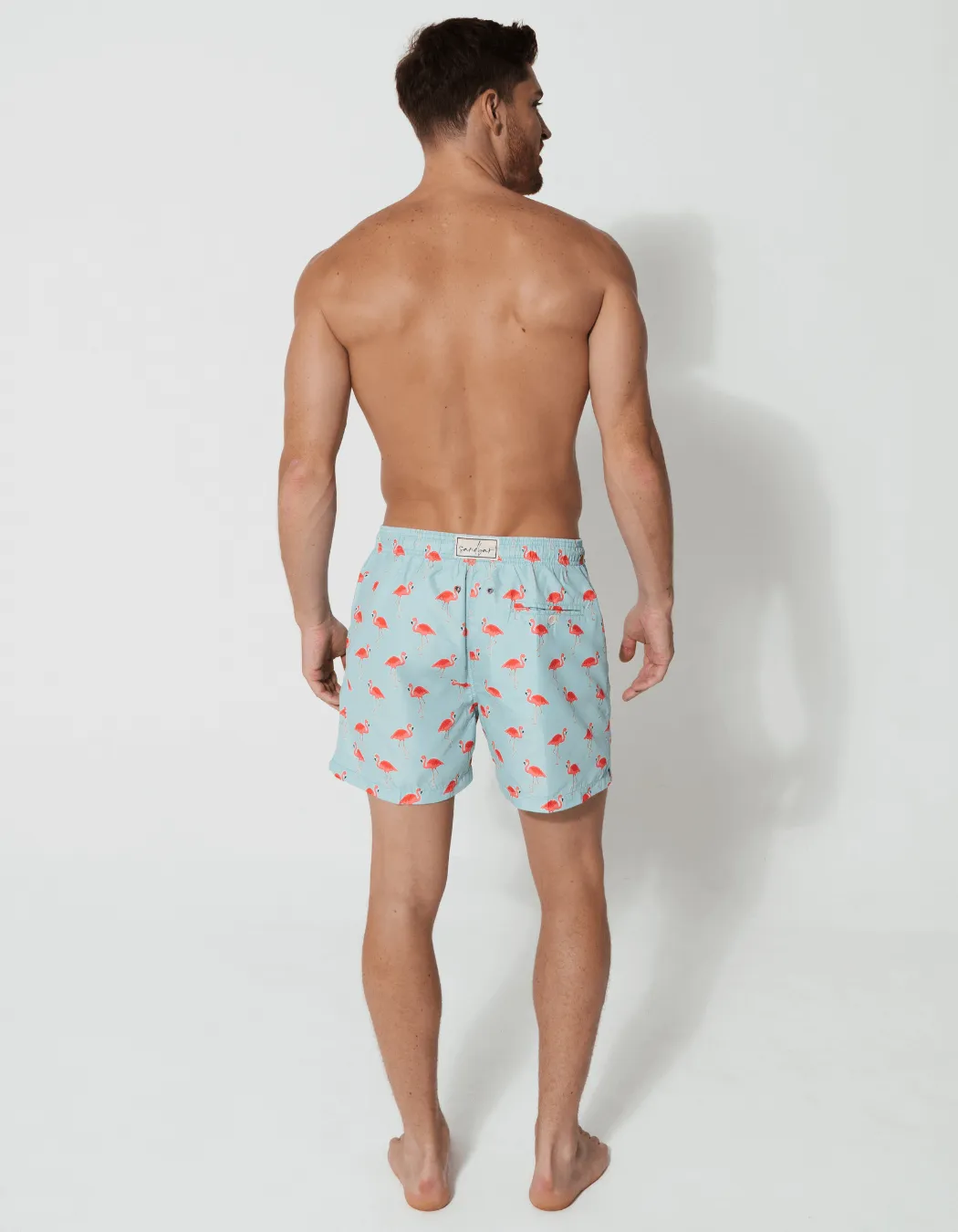 Flamingo Mens Swim Shorts