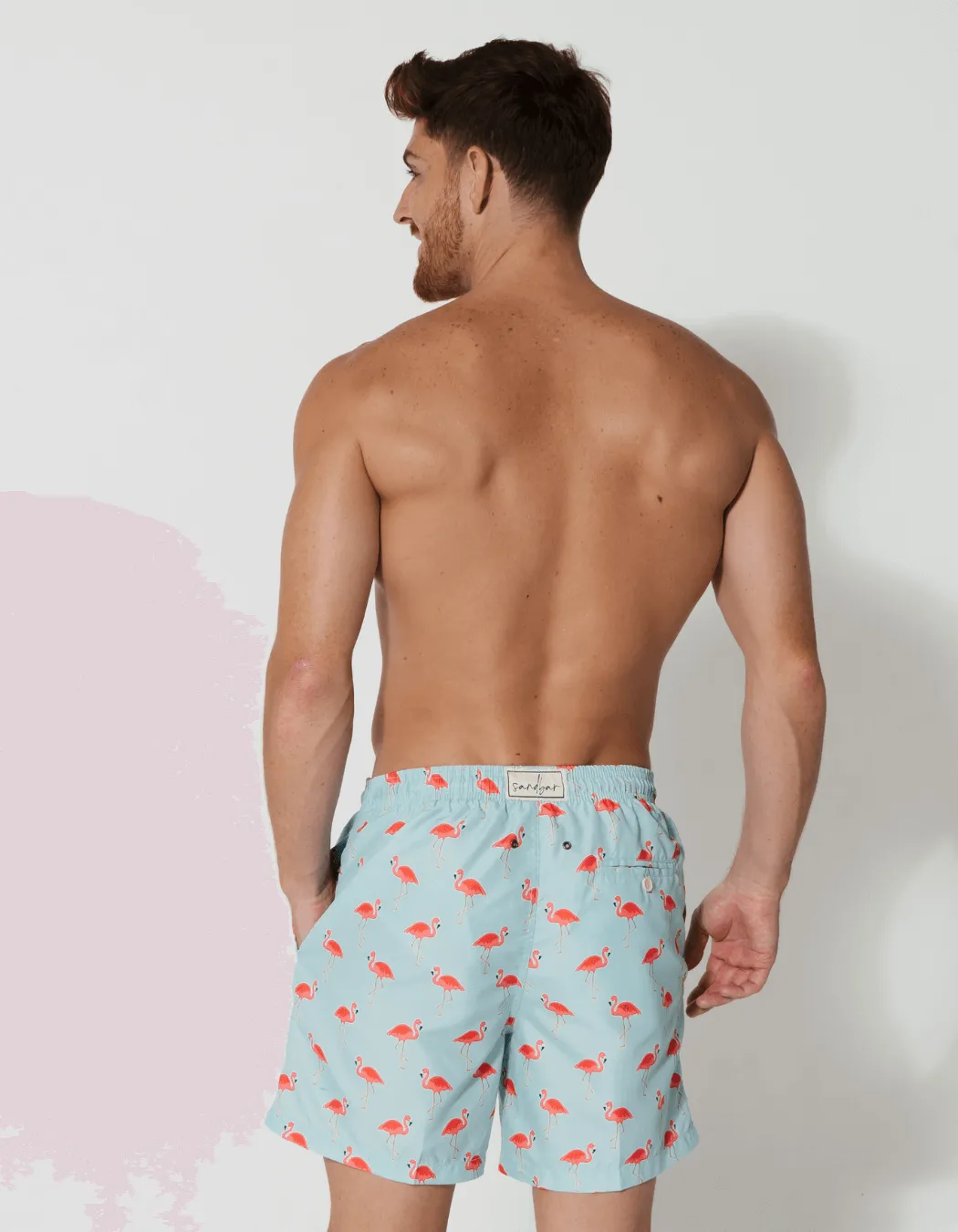 Flamingo Mens Swim Shorts