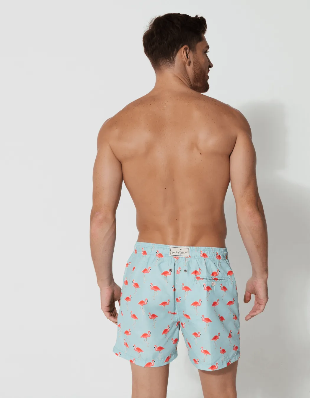 Flamingo Mens Swim Shorts