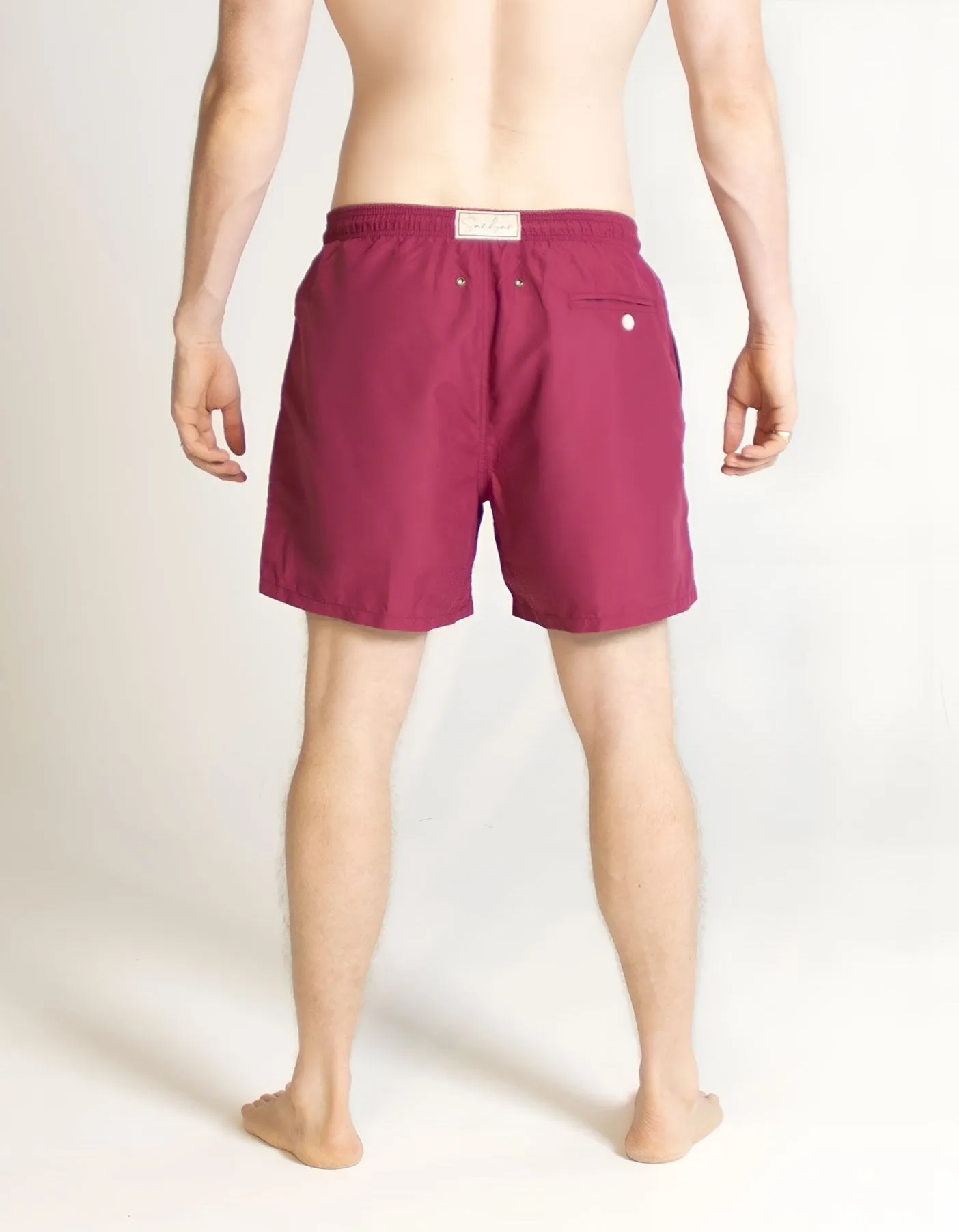 Plum Mens Swim Shorts