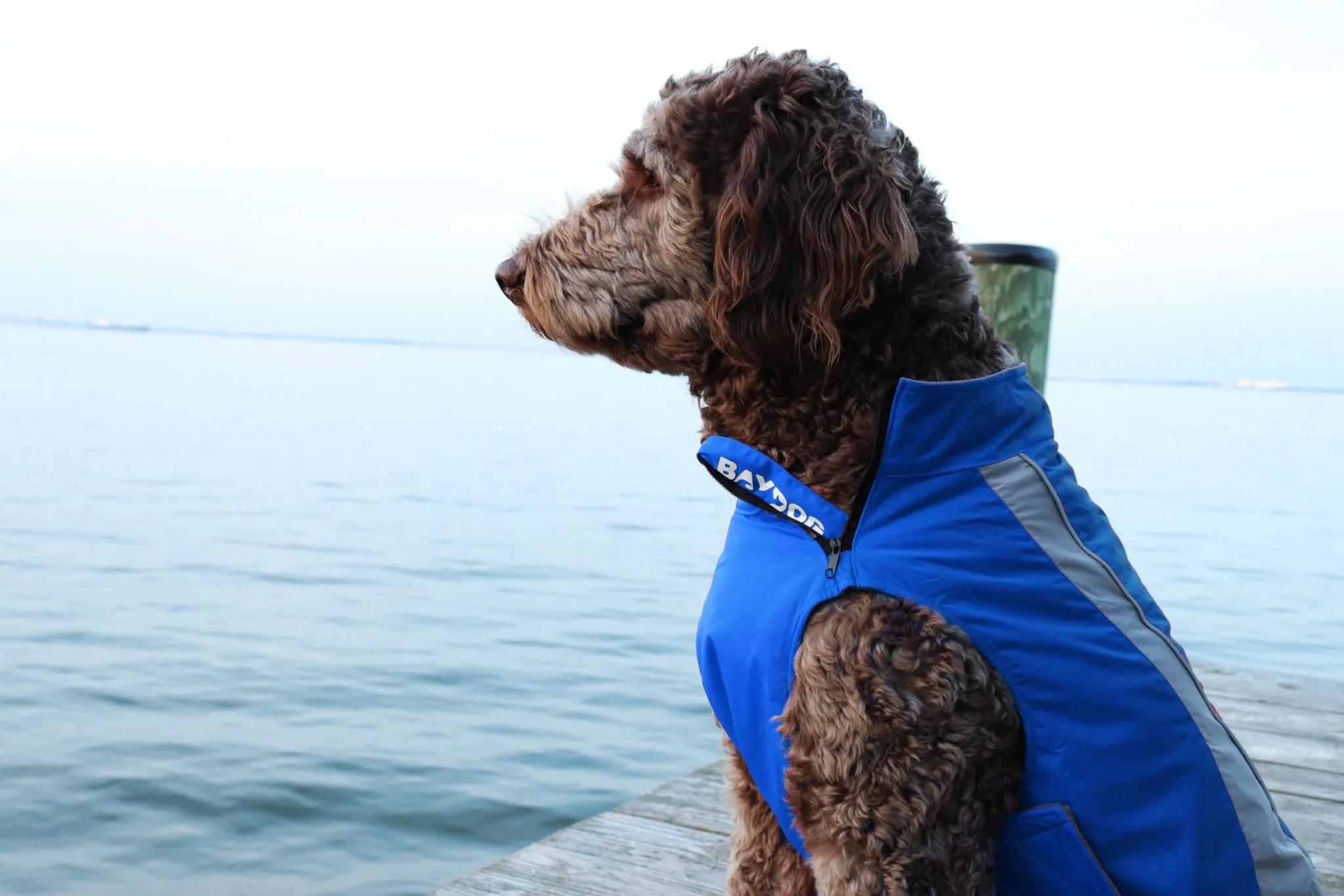 Saginaw Bay Dog Fleece