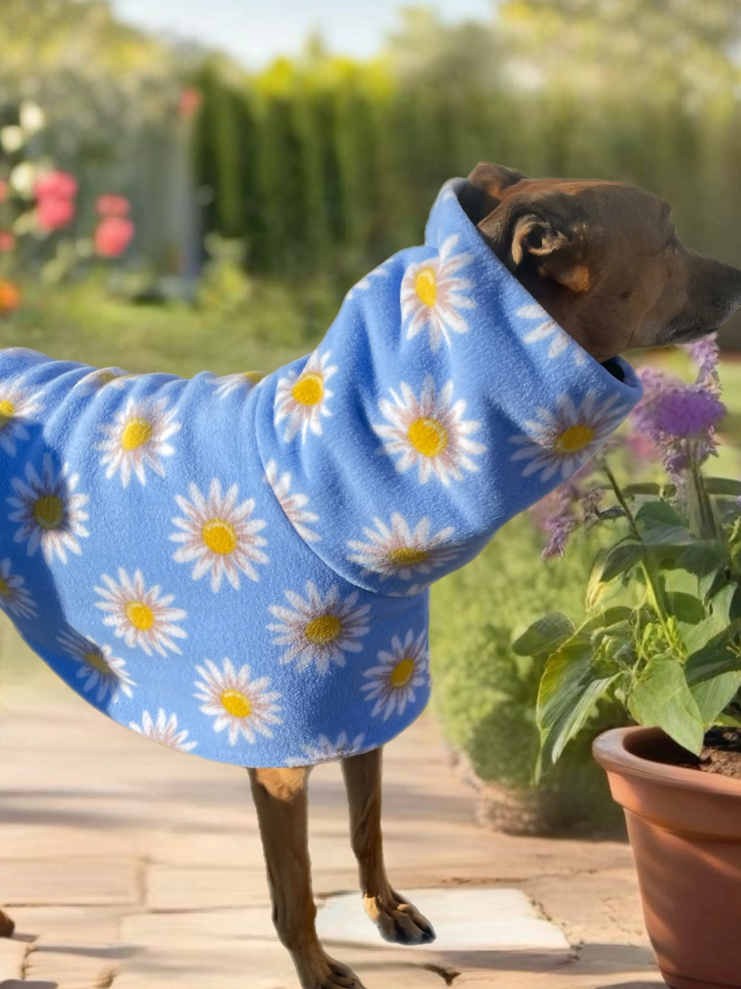 Springtime floral Greyhound Deluxe coat rug snuggly polar fleece washable extra wide neck hoodie