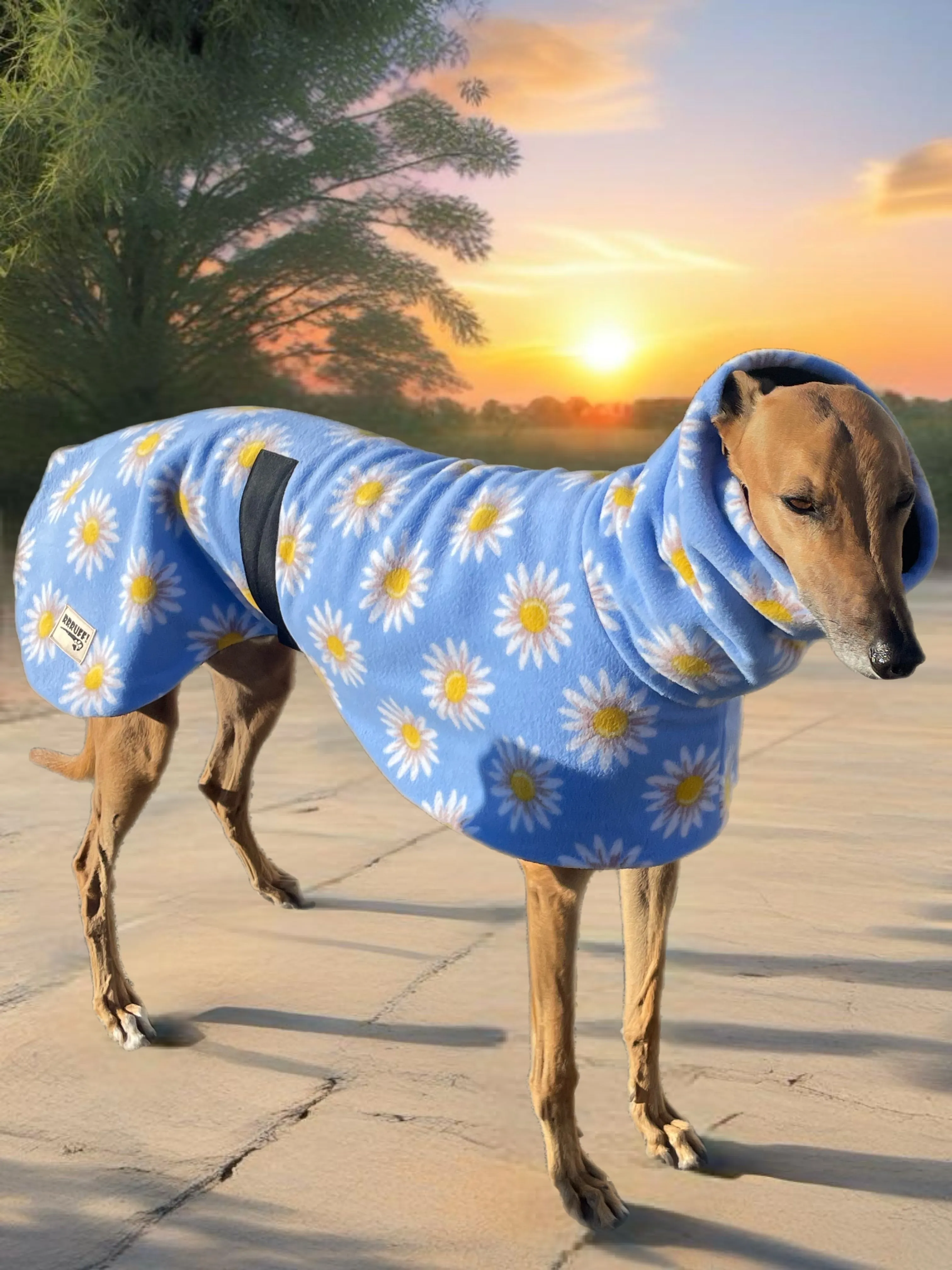 Springtime floral Greyhound Deluxe coat rug snuggly polar fleece washable extra wide neck hoodie