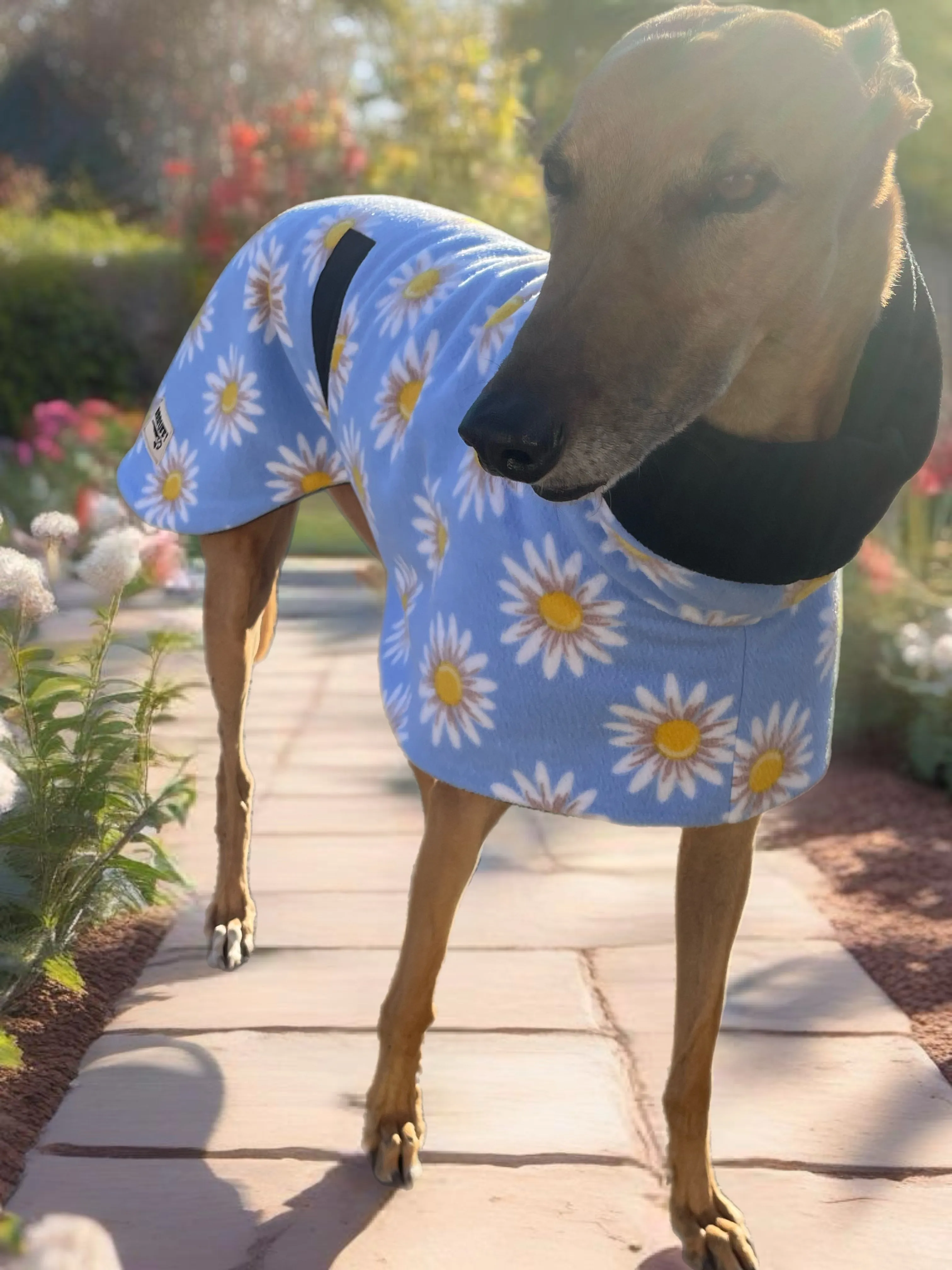 Springtime floral Greyhound Deluxe coat rug snuggly polar fleece washable extra wide neck hoodie