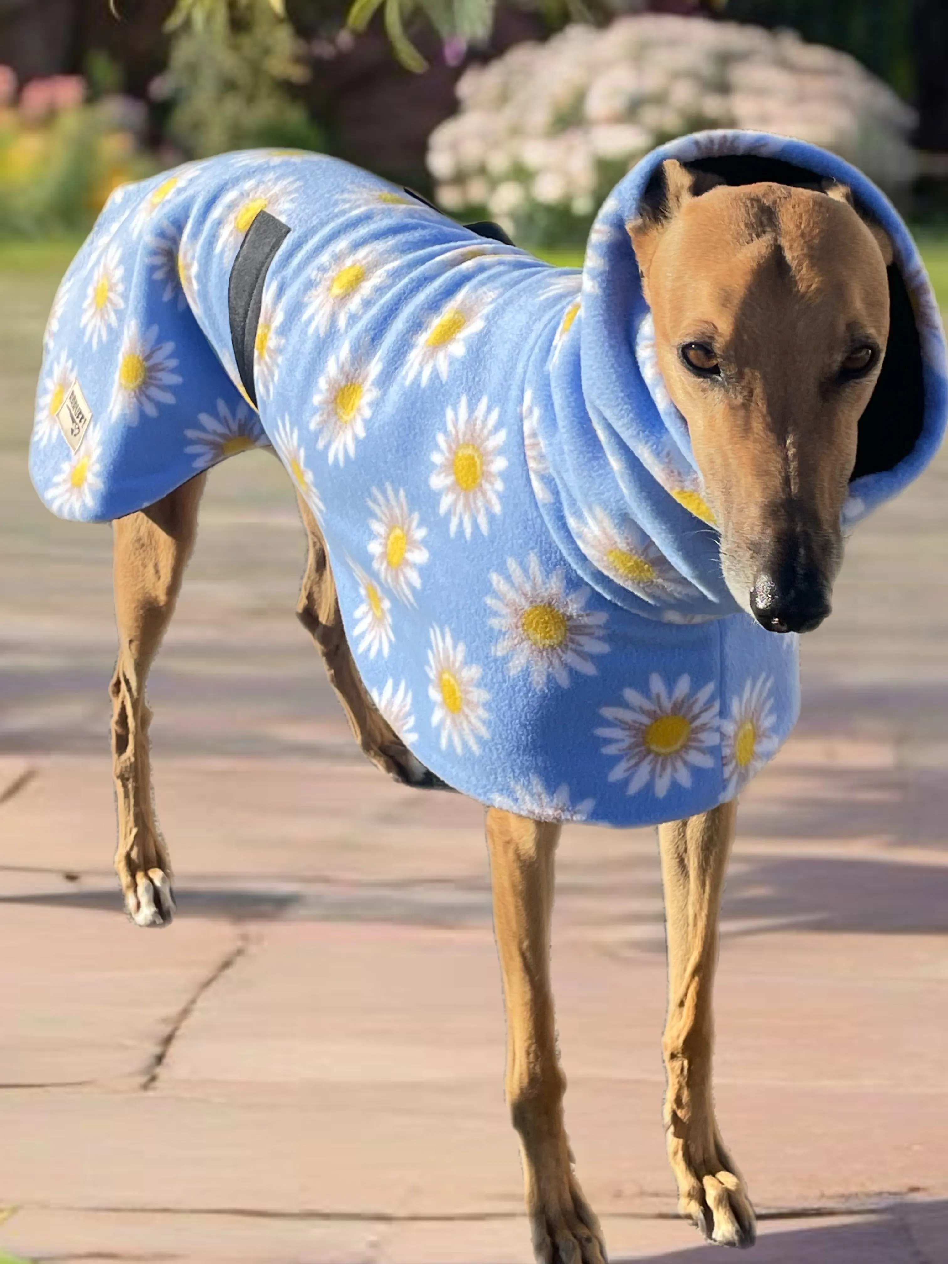 Springtime floral Greyhound Deluxe coat rug snuggly polar fleece washable extra wide neck hoodie