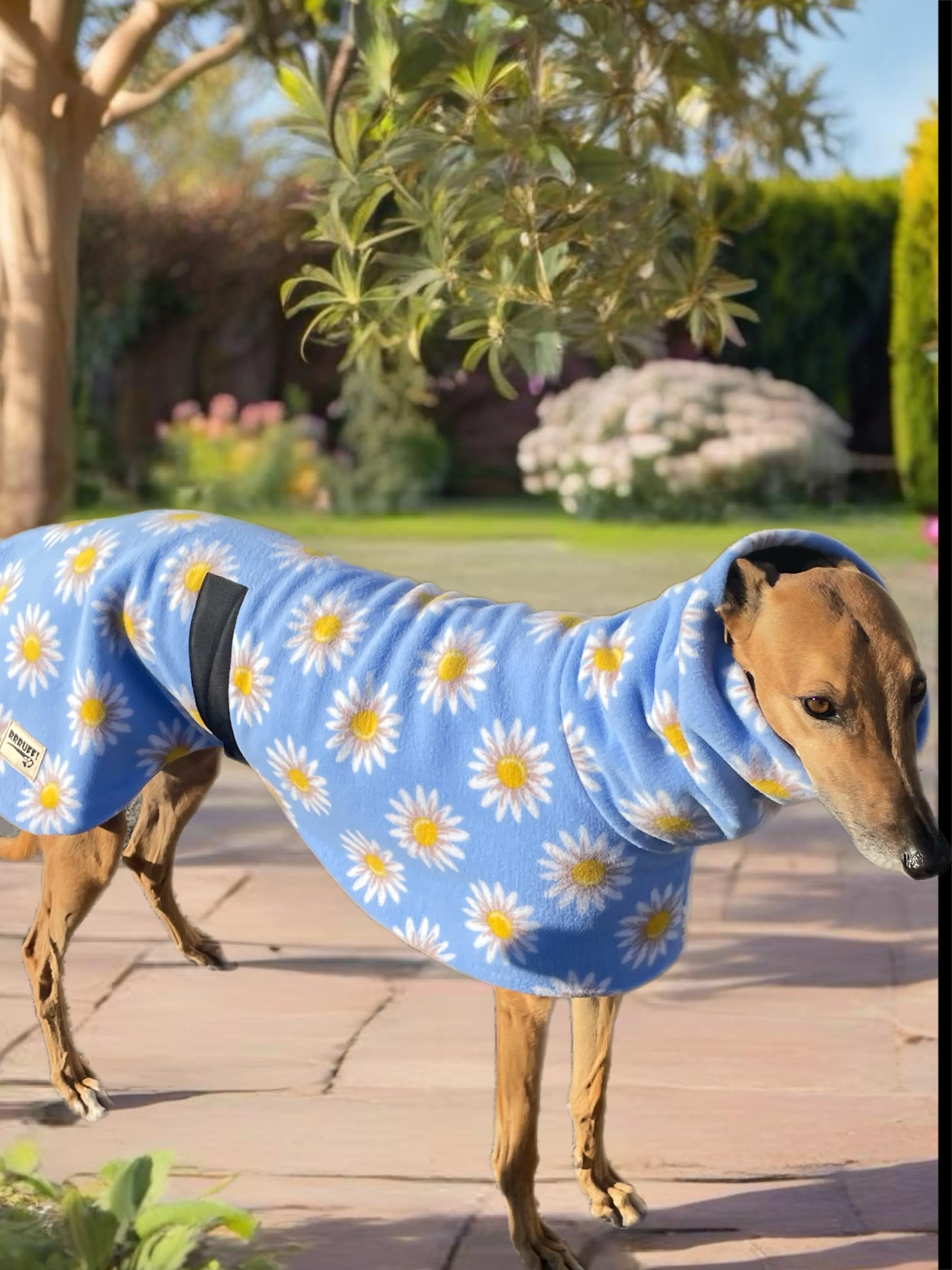 Springtime floral Greyhound Deluxe coat rug snuggly polar fleece washable extra wide neck hoodie