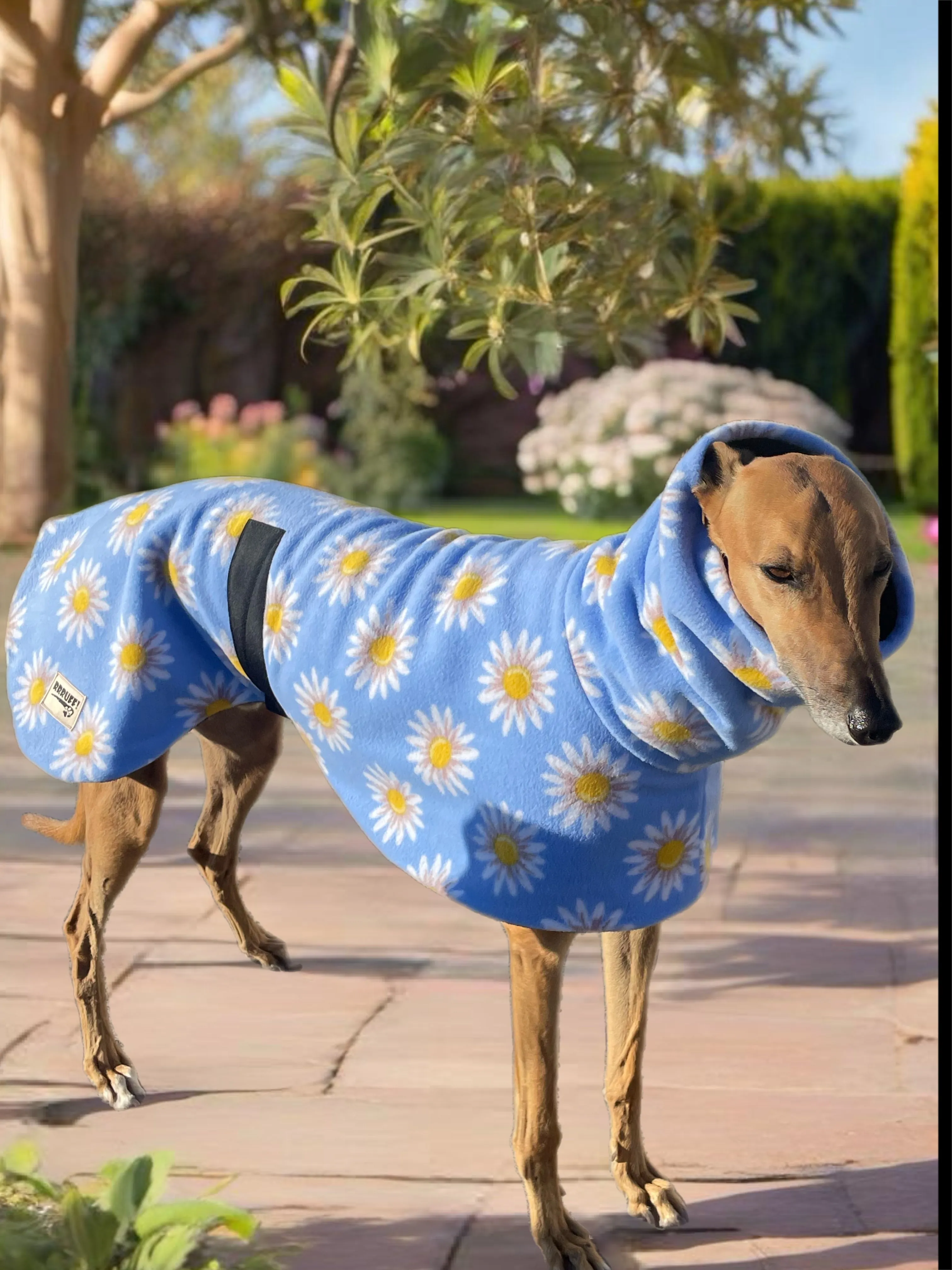 Springtime floral Greyhound Deluxe coat rug snuggly polar fleece washable extra wide neck hoodie